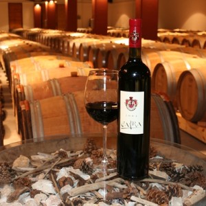 vina 1