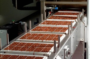 lindt_sprungli[1]