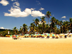 goa