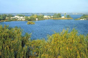 plavni