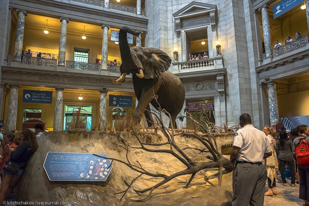 natural_history_001[1]