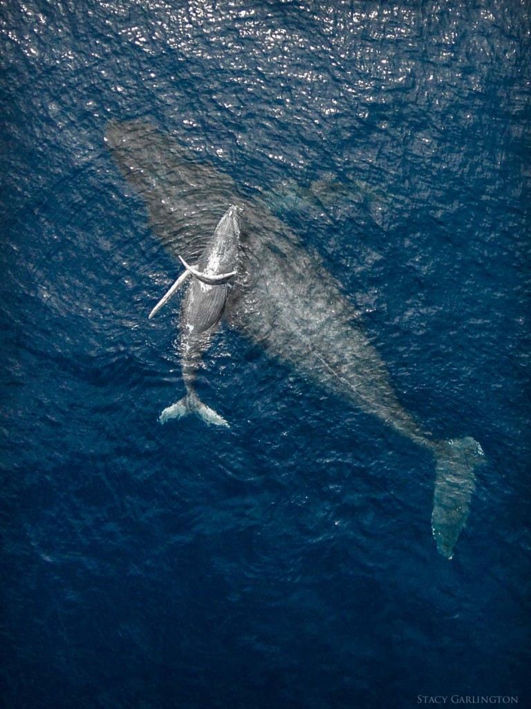 0_10c85c_3b3744a6_orig[1]