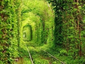 tunel[1]