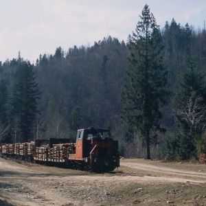 Интересное